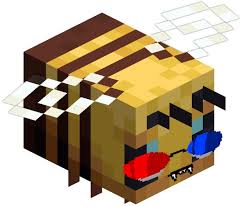 Honey bee farmers love to share all the essential information about this fascinating species. Sollux S Face On Things