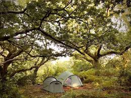 Full video solo bushcraft in 5 days, subdue the wild gà and survive. Bwlchgwyn Farm And Pony Trekking Fairbourne Pitchup