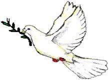 pin on coifeure