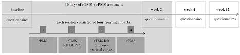 Frontiers A Pilot Study Of Peripheral Muscle Magnetic