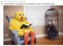 Google have recently extended the range of images in their collection of free stock images within google drive. We Have No Idea What S Happening But These Stock Photos Are Hilarious