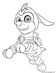 You can also color these coloring pages online. Rocky Paw Patrol Coloring Page Www Robertdee Org