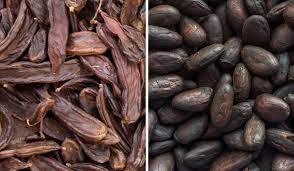 Carob Vs Chocolate What S The Difference Thrive Market