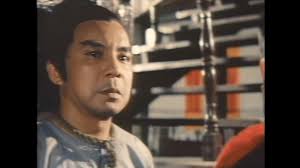 Green Dragon Inn (1977)