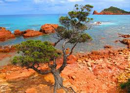 Viele gäste kommen jeder erneut nach italien in den urlaub, und entscheiden sich dann auch gerne noch einmal für sardinien. Italien Sardinien Mit Kindern 5 Orte Die Du Gesehen Haben Musst