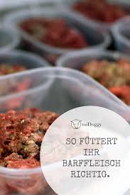 Barf Frostfleisch So Futtert Ihr Es Richtig Midoggy Community Hunde Ernahrung Kalter Hund Rezept Ernahrung