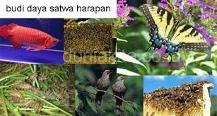 Teknik dan konsep menggambar ragam hias. Perancangan Dan Produksi Kerajinan Dengan Inspirasi Budaya Nonbenda Your All In One Event Partner Solution