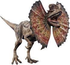 In evolution, dilophosaurus is first unlocked by the hammond foundation on isla muerta, and plays a key role in a security division mission on the island, as . Dilophosaurus Jurassic World Evolution Wiki Fandom