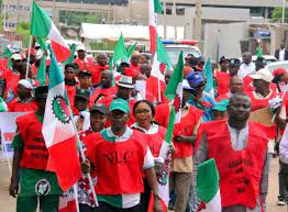 The asuu chairman in the university, dr. Asuu Joins Nlc Warning Strike In Kaduna P M News