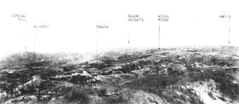 All americans who fought in the battle of okinawa were heroic, but one soldier at the escarpment stood out—corporal desmond t. Hyperwar Us Army In Wwii Okinawa The Last Battle Chapter 11