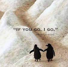 He's more myself than i am. Funny Penguin Quotes Quotesgram