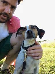 Guys I think this dog has escaped from its house, so if he's yours he's  running up and down diamedes, he hasn't got a collar and wen I tried  getting close he