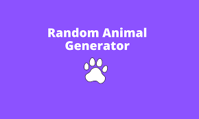Sometimes our head feels a little empty. Random Animal Generator For Drawing Ideas To Start Eggradients Com