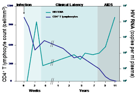 Image result for HIV Course