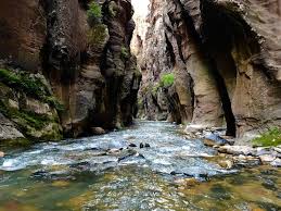 Wall street in the zion narrows. The Narrows Wall Street To Big Springs Route Hiking Trail Springdale Utah