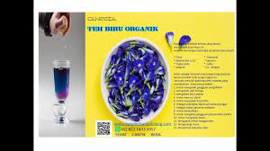 Bunga atau kembang telang yang dalam bahasa inggris disebut dengan butterfly pea merupakan tanaman liar yang bisa tumbuh dengan mudah di pekarangan. Bunga Telang English Bungadroid