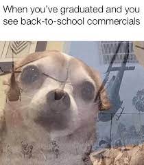 29 Funny Memes Clean So True Hilarious 18 Very Funny Pictures Funny Pictures Funny Memes
