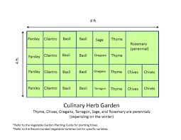 Raised Bed Herb Garden Layout Google Search Raised Bed Vegetable Garden Layout Vegetable Garden Raised Beds Garden Layout Vegetable