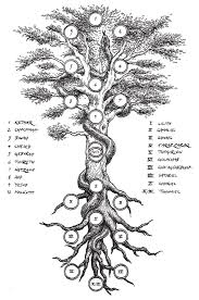 The Tree Of Life And Death From Alberto Brandi S Book La Via Oscura Illustration By Timo Ketola Levensboom Symbolen Spiritualiteit