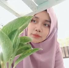 Monstera thai constellation growth after 2 years