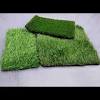 Harga rumput sintetis pilihan terbaik no.1 update harga list terbaru dan merupakan pabrik rumput jepang dan swiss serta harga distributor rumput sintetis untuk kebutuhan taman, dekorasi, lapangan golf dan juga untuk lapangan futsal dan soccer lapangan sepak bola bersama kami di indo. Https Encrypted Tbn0 Gstatic Com Images Q Tbn And9gcs4s Q8arz9zixe2ddfocxgohuxfi49dnumgctyyi Cqs Diuld Usqp Cau