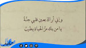 كلام غزل للحبيب بالعاميه السورية - مقال مفيد