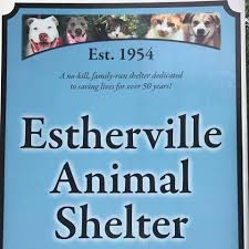 If you have adopted an animal from hi tor, please call the shelter directly to make a spay/neuter appointment. Pets For Adoption At Estherville Animal Shelter In Greenfield Center Ny Petfinder