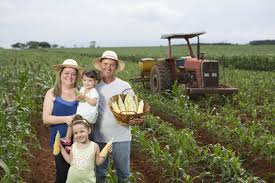 AGRICULTORES DO INTERIOR DO ESTADO