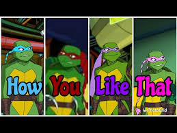 Thousands lose right to vote under 'incompetence' laws. How You Like That Tmnt Girls Youtube