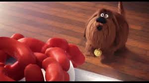 He is voiced by eric stonestreet. Duke Secret Life Of Pets Tv Commercials Ispot Tv