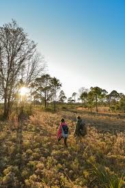 Oscar scherer state park map. Let S Go For A Hike At Oscar Scherer State Park Sarasota Magazine