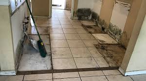 Kitchen Water Damage Repair Armstrong Water Damage Mold Cleanup Restorations