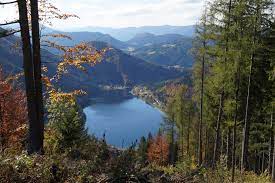 Diese wanderung steht ganz im zeichen des elements wasser. Wanderwege In Lunz Am See Die Schonsten Touren Der Region