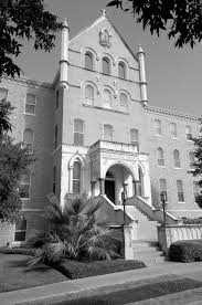 Fall 2024 The View Newsletter