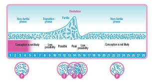 us 61 0 original australia maybebaby easy re usable 10000 times maybe baby easy ovulation tester 99 9 accuracy ideal time to conceive in sets from