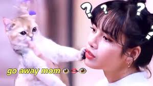 lisa and lego love hate relationship