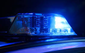 Volksfreund - News update