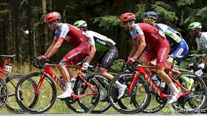 Maybe you would like to learn more about one of these? 2019 Gp Marcel Kint Videos Flobikes