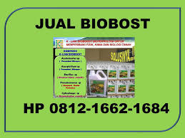 Hal inilah yang nantinya akan mempengaruhi hasil produksi telur nantinya. Hp Wa 0812 1662 1684 Bioboost Untuk Ayam Bangkok Riau By Agenbioboostindo Medium
