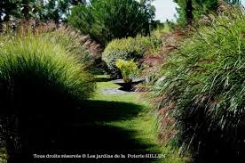 Le jardin de fraîcheur, le jardin du sud, le jardin sauvage, le jardin intime, le jardin gourmand de type médiéval biologique, le parc du nord les jardins se visite à la belle saison de mai à octobre en visite libre. Jardin Contemporain Photo De Les Jardins De La Poterie Hillen Thermes Magnoac Tripadvisor