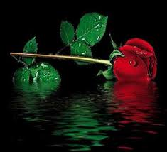 Image result for ‫عشق‬&lrm;