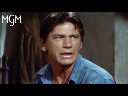 Best Of Charles Bronson