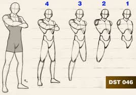 Intrinsic back muscles explanations, sacrospinalis system, spinotransversalis system, intertransversalis system, spinalis and interspinalis system. Tutorial Body Men Anatomy Poses On Drawing Tutorial Deviantart