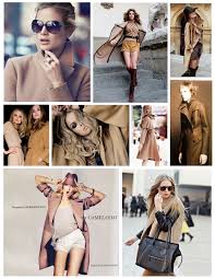 Where does it come from? Enduring Appeal Of Warmth Hue Of Color The Camel Hair Coat House Appeal
