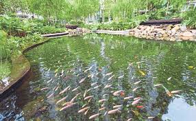 Reka bentuk landskap adalah pelbagai aktiviti yang bertujuan untuk landskap. Reka Bentuk Biophilic Trend Terkini
