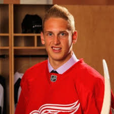 Most recently in the nhl with detroit red wings. Anthony Mantha Anthony Mantha Twitter