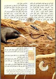 دائرة معارف القرن الحادي والعشرين للعلوم والتكنولوجيا المتطورة والطبيعية matnawi free download borrow and streaming internet archive in 2021 my books ecology streaming
