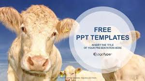 Free Farm Cows Scene Powerpoint Template Cows Ever Since Humans Have Learned To Domesticated Them Have Bee Free Ppt Template Powerpoint Templates Powerpoint