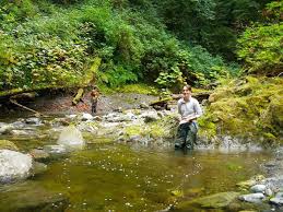 Find hotels on vancouver island, ca online. Nile Creek Trout Unlimited Canada