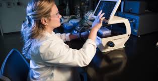 The skills, knowledge and thinking to analyse client problems and provide solutions . Health Sciences Bachelor S Degrees Liberty University